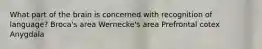 What part of the brain is concerned with recognition of language? Broca's area Wernecke's area Prefrontal cotex Anygdala