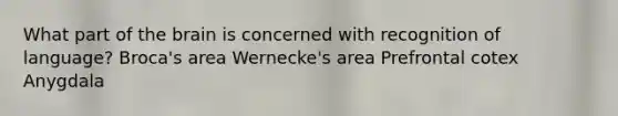 What part of the brain is concerned with recognition of language? Broca's area Wernecke's area Prefrontal cotex Anygdala