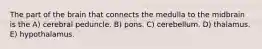 The part of the brain that connects the medulla to the midbrain is the A) cerebral peduncle. B) pons. C) cerebellum. D) thalamus. E) hypothalamus.