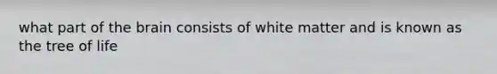 what part of the brain consists of white matter and is known as the tree of life