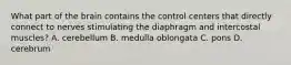 What part of the brain contains the control centers that directly connect to nerves stimulating the diaphragm and intercostal muscles? A. cerebellum B. medulla oblongata C. pons D. cerebrum