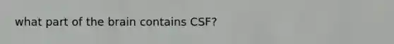 what part of the brain contains CSF?