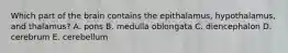 Which part of the brain contains the epithalamus, hypothalamus, and thalamus? A. pons B. medulla oblongata C. diencephalon D. cerebrum E. cerebellum