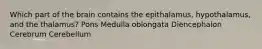 Which part of the brain contains the epithalamus, hypothalamus, and the thalamus? Pons Medulla oblongata Diencephalon Cerebrum Cerebellum