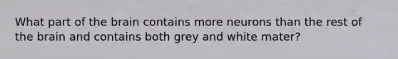 What part of the brain contains more neurons than the rest of the brain and contains both grey and white mater?