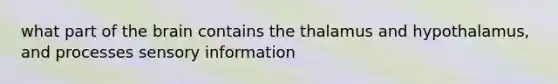 what part of the brain contains the thalamus and hypothalamus, and processes sensory information