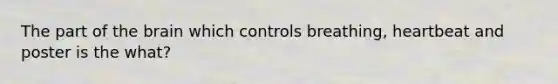 The part of the brain which controls breathing, heartbeat and poster is the what?