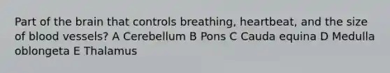 Part of the brain that controls breathing, heartbeat, and the size of blood vessels? A Cerebellum B Pons C Cauda equina D Medulla oblongeta E Thalamus