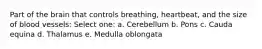 Part of the brain that controls breathing, heartbeat, and the size of blood vessels: Select one: a. Cerebellum b. Pons c. Cauda equina d. Thalamus e. Medulla oblongata