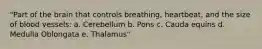 "Part of the brain that controls breathing, heartbeat, and the size of blood vessels: a. Cerebellum b. Pons c. Cauda equins d. Medulla Oblongata e. Thalamus"