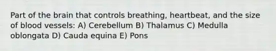 Part of the brain that controls breathing, heartbeat, and the size of blood vessels: A) Cerebellum B) Thalamus C) Medulla oblongata D) Cauda equina E) Pons