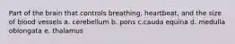 Part of the brain that controls breathing, heartbeat, and the size of blood vessels a. cerebellum b. pons c.cauda equina d. medulla oblongata e. thalamus