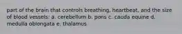 part of the brain that controls breathing, heartbeat, and the size of blood vessels: a. cerebellum b. pons c. cauda equine d. medulla oblongata e. thalamus