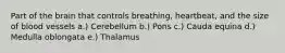 Part of the brain that controls breathing, heartbeat, and the size of blood vessels a.) Cerebellum b.) Pons c.) Cauda equina d.) Medulla oblongata e.) Thalamus