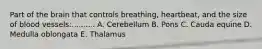 Part of the brain that controls breathing, heartbeat, and the size of blood vessels:.......... A. Cerebellum B. Pons C. Cauda equine D. Medulla oblongata E. Thalamus