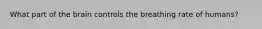 What part of the brain controls the breathing rate of humans?