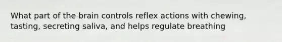 What part of the brain controls reflex actions with chewing, tasting, secreting saliva, and helps regulate breathing