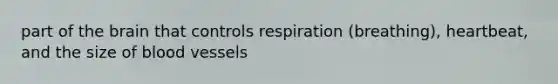 part of the brain that controls respiration (breathing), heartbeat, and the size of blood vessels