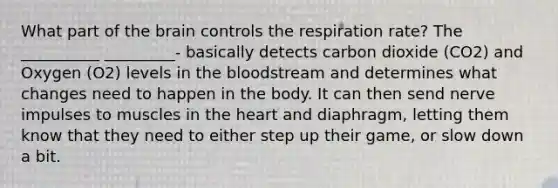 What part of the brain controls the respiration rate? The __________ _________- basically detects carbon dioxide (CO2) and Oxygen (O2) levels in the bloodstream and determines what changes need to happen in the body. It can then send nerve impulses to muscles in the heart and diaphragm, letting them know that they need to either step up their game, or slow down a bit.