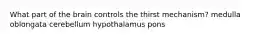 What part of the brain controls the thirst mechanism? medulla oblongata cerebellum hypothalamus pons