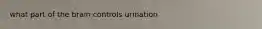 what part of the brain controls urination