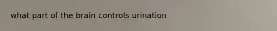 what part of the brain controls urination