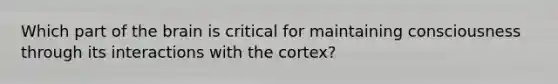 Which part of the brain is critical for maintaining consciousness through its interactions with the cortex?