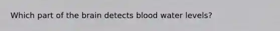 Which part of the brain detects blood water levels?