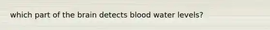 which part of the brain detects blood water levels?