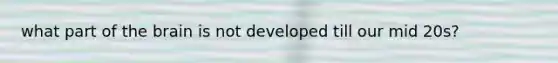 what part of the brain is not developed till our mid 20s?