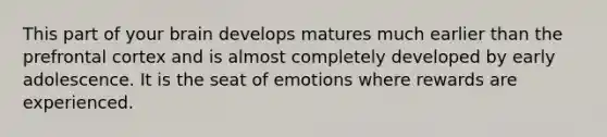 This part of your brain develops matures much earlier than the prefrontal cortex and is almost completely developed by early adolescence. It is the seat of emotions where rewards are experienced.