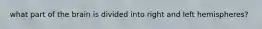 what part of the brain is divided into right and left hemispheres?