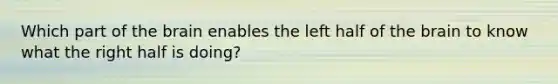 Which part of the brain enables the left half of the brain to know what the right half is doing?