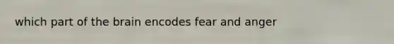 which part of the brain encodes fear and anger