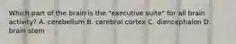 Which part of the brain is the "executive suite" for all brain activity? A. cerebellum B. cerebral cortex C. diencephalon D. brain stem