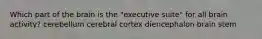 Which part of the brain is the "executive suite" for all brain activity? cerebellum cerebral cortex diencephalon brain stem