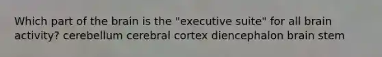 Which part of the brain is the "executive suite" for all brain activity? cerebellum cerebral cortex diencephalon brain stem