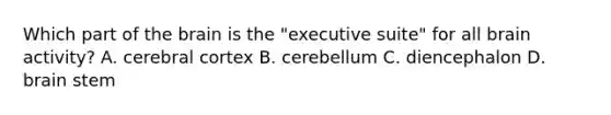 Which part of the brain is the "executive suite" for all brain activity? A. cerebral cortex B. cerebellum C. diencephalon D. brain stem