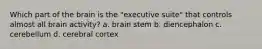 Which part of the brain is the "executive suite" that controls almost all brain activity? a. brain stem b. diencephalon c. cerebellum d. cerebral cortex