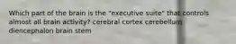 Which part of the brain is the "executive suite" that controls almost all brain activity? cerebral cortex cerebellum diencephalon brain stem