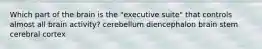 Which part of the brain is the "executive suite" that controls almost all brain activity? cerebellum diencephalon brain stem cerebral cortex