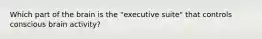 Which part of the brain is the "executive suite" that controls conscious brain activity?