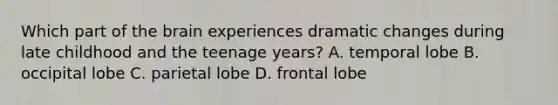 Which part of the brain experiences dramatic changes during late childhood and the teenage years? A. temporal lobe B. occipital lobe C. parietal lobe D. frontal lobe