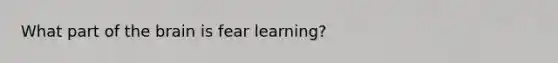 What part of <a href='https://www.questionai.com/knowledge/kLMtJeqKp6-the-brain' class='anchor-knowledge'>the brain</a> is fear learning?