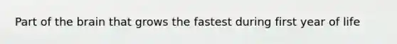 Part of the brain that grows the fastest during first year of life