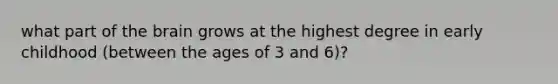 what part of the brain grows at the highest degree in early childhood (between the ages of 3 and 6)?