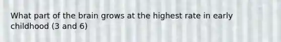 What part of <a href='https://www.questionai.com/knowledge/kLMtJeqKp6-the-brain' class='anchor-knowledge'>the brain</a> grows at the highest rate in early childhood (3 and 6)