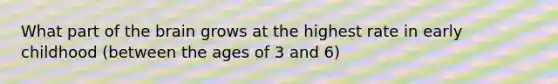 What part of the brain grows at the highest rate in early childhood (between the ages of 3 and 6)