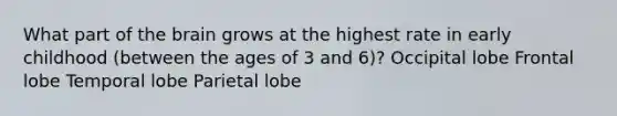 What part of the brain grows at the highest rate in early childhood (between the ages of 3 and 6)? Occipital lobe Frontal lobe Temporal lobe Parietal lobe