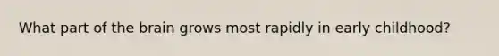 What part of the brain grows most rapidly in early childhood?